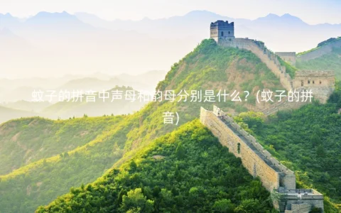 蚊子的拼音中声母和韵母分别是什么？(蚊子的拼音)