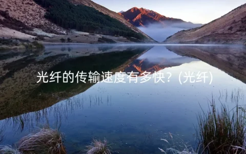 光纤的传输速度有多快？(光纤)