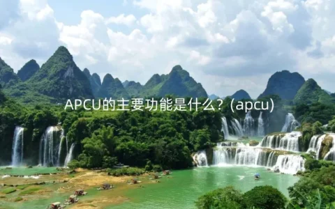 APCU的主要功能是什么？(apcu)