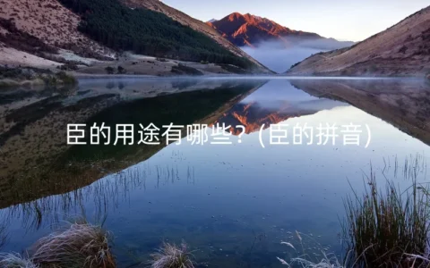 臣的用途有哪些？(臣的拼音)