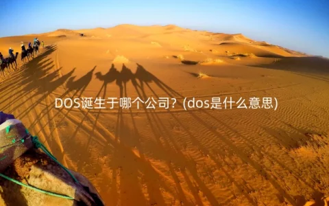DOS诞生于哪个公司？(dos是什么意思)