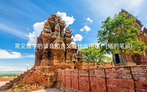 常见插字的读音和含义有什么用途？(插的笔顺)