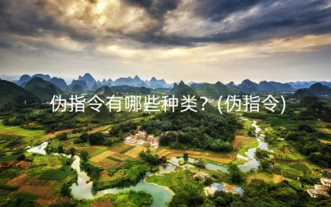 伪指令有哪些种类？(伪指令)