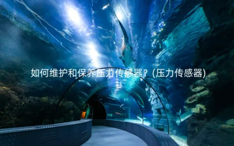 如何维护和保养压力传感器？(压力传感器)
