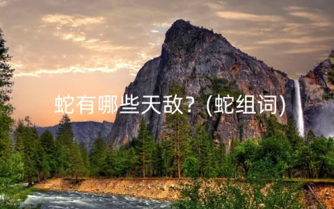 蛇有哪些天敌？(蛇组词)