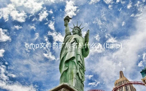 bmp文件的扩展名是什么？(bmp)
