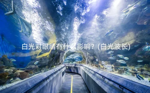 白光对眼睛有什么影响？(白光波长)