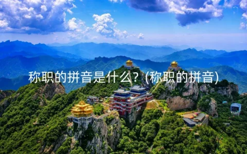 称职的拼音是什么？(称职的拼音)