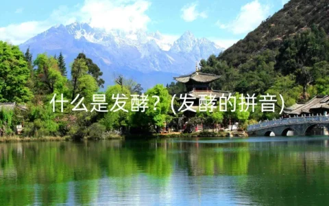 什么是发酵？(发酵的拼音)