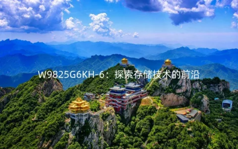 W9825G6KH-6：探索存储技术的前沿