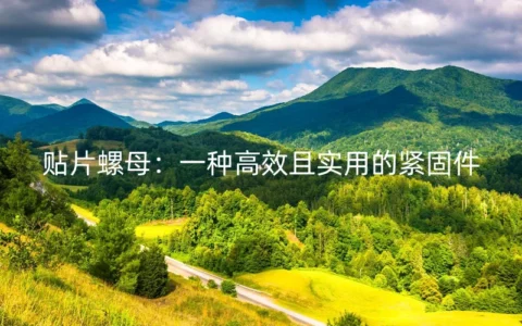 贴片螺母：一种高效且实用的紧固件