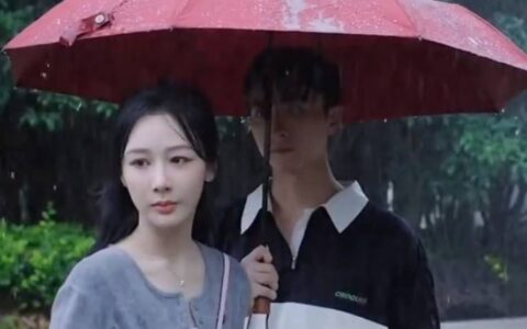 原创
            电视剧《承欢记》麦承欢忍无可忍，终于向辛家亮提出分手