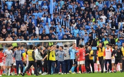 秉公执法!大连球迷向场内扔了半个梨,被拘留7日+禁足1年+罚款200