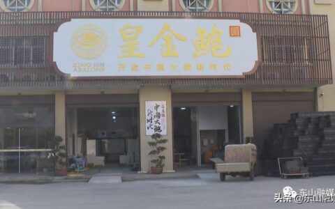 国家级水产新品种！漳州东山皇金鲍火了