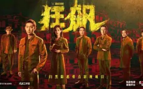 如何评价张译、张颂文、李一桐主演的扫黑大剧《狂飙》？