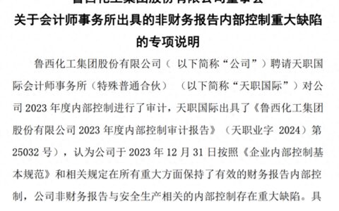业绩“变脸”，内控出问题后，鲁西化工董事长又换人了