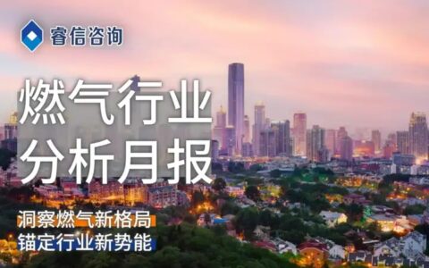 报告 | 睿信咨询 燃气行业分析月报 2022年6月 | 洞察燃气新格局 锚定行业新势能