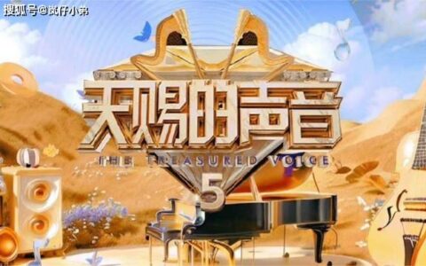 《天赐的声音5》：音乐与情感的完美融合，探索声音背后的深层魅力