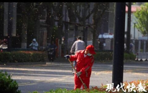 南京遭大风毛絮双重夹击！有人被“硬控”：浑身刺挠
