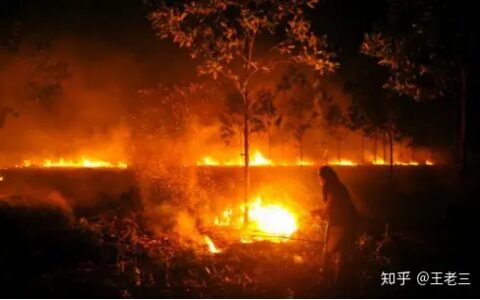 春季火灾的预防(近期全国各地火灾频发，做好春季防火工作避免发生，减少事故发生)