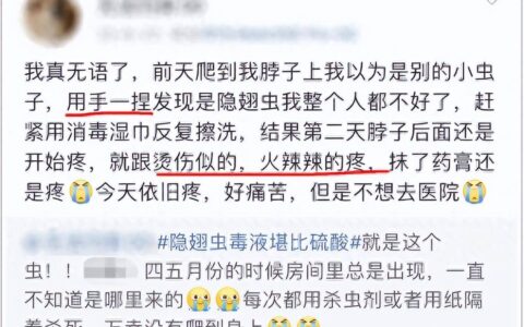 毒液堪比硫酸！湖南一女子被隐翅虫腐蚀眼皮，遇到了该怎么办？
