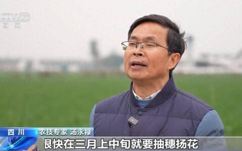 为粮食丰收打基础 各地积极抢抓农时、忙春管、备春耕