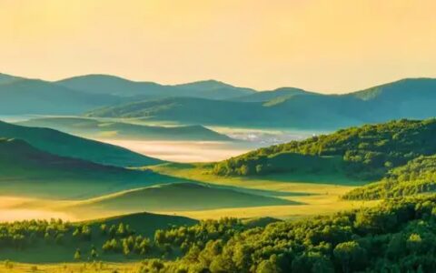 山西也有绝美草原？山花、草甸、牛马、风车样样都有