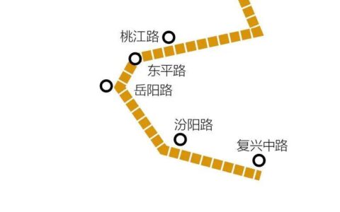 春光好，上海梧桐区citywalk宝藏路线逛起！