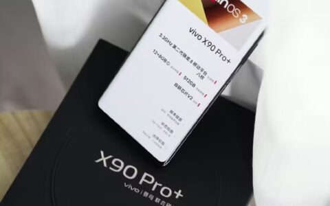 还是没扛住！vivo“机皇”降价1300元，512GB内存+1英寸主摄