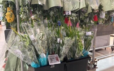 “粽”享艾香国风浓——看端午消费“新三样”-粽香艾香满堂飘是什么意思