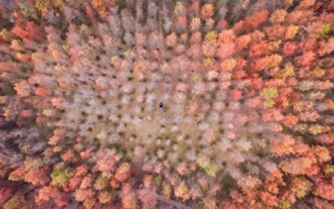 广东的天气大观：揭秘那传说中的“离谱”现象-广东地区的天气