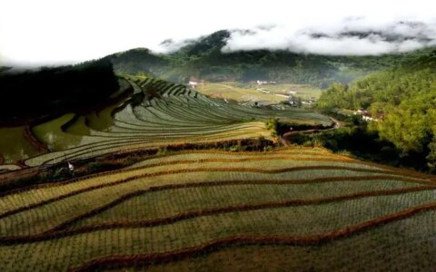 江西春游踏青好去处 崇义上堡梯田旅游攻略 低音号免费语音导游-崇义上堡梯田民宿有哪些