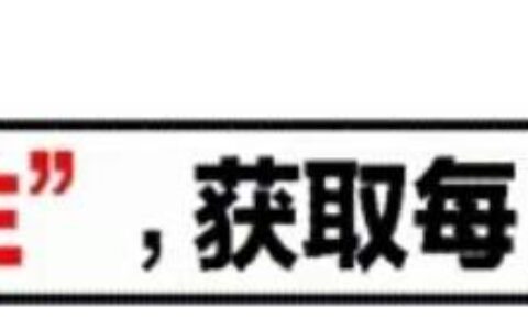 北方赛龙舟主打的就是欢乐，起步就翻到水里，曹操：果然不善水战-赛龙舟是在南方还是北方