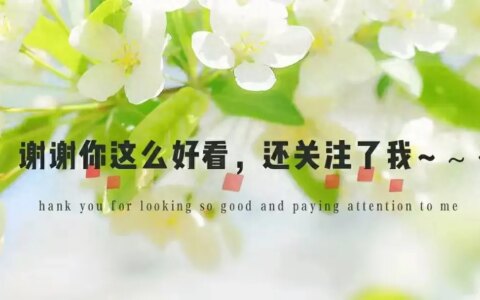 “高考钉子户”梁实第28次高考成绩446分，没过二本线-梁实第24次高考失利