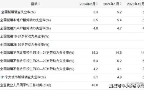 国家统计局公布2月份分年龄组失业率-2020年2月失业率