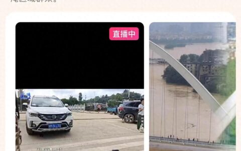 岳阳遇特大洪水：商家损失惨重，一对爷孙被冲走，武警赴灾区救援-岳阳洪水是哪一年发生的