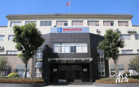 清溪上半年新设企业网办率近94%，企业开办“零”成本-清溪网络公司有哪些