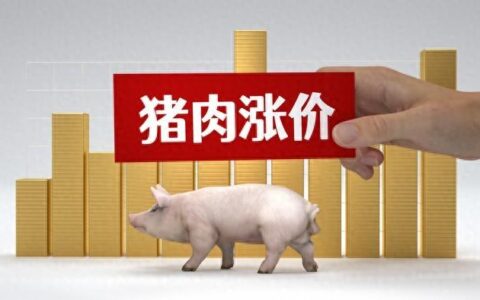 2024年下半年：全国猪价大预测！猪价即将全面上涨？-2021年下半年猪价还会涨吗