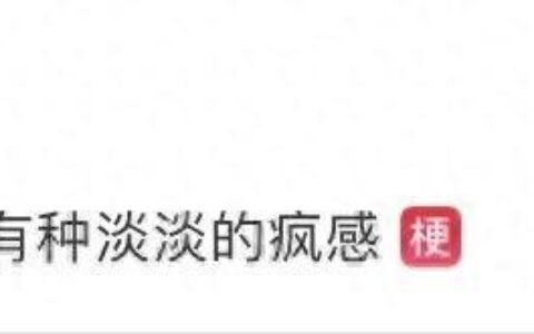 00后的工牌有种淡淡的疯感！网友：在公司耍大牌了，耍的工牌！-00后的工作