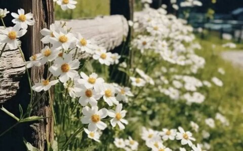 本轮强降雨形势骤变，新一轮强降雨中心已定，暴雨大暴雨分布如下-强降雨持续到290号