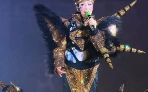 原创
            51岁郑秀文演唱会造型引热议！裤衩外穿，网友：得罪了多少造型师-郑秀文值得演唱会视频