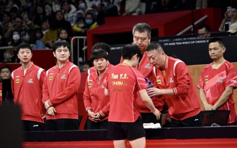 张本智和又发誓了！巴黎奥运要争夺2块奖牌，1块单打1块双打-奥运会张本智和遭逆转出局