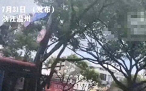 突发！浙江温州一辆公交车撞上大树，多人受伤！现场一片狼藉-温州公交车祸