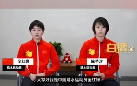 笑麻了，全红婵想和陈芋汐手牵手上最高领奖台，我却笑死在评论区-全红婵陈芋汐前2名晋级决赛,谁会笑到最后