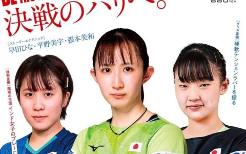 原创
            想让孙颖莎成为王皓，早田希娜和平野美宇突破孙颖莎，是最终目标-早田希娜夺冠